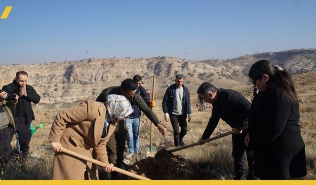 Batman Üniversitesi'nde Badem ve Zeytin Dikimi Yapıldı