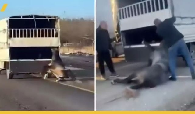 Batman Yollarında Şok Eden Görüntü