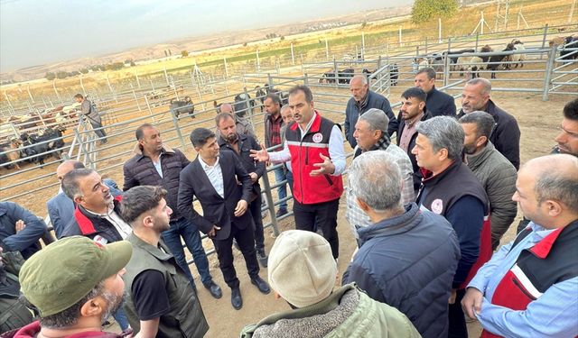 Batman'da Kesimhane ve Hayvan Pazarı Denetlendi