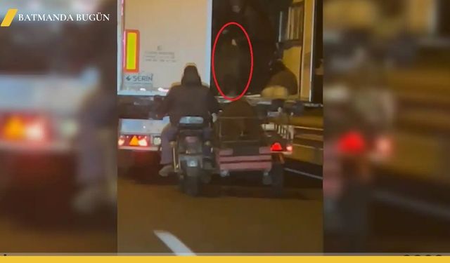 Diyarbakır'da Seyir Halindeki Tırdan Küçükbaş Hayvan Çaldılar