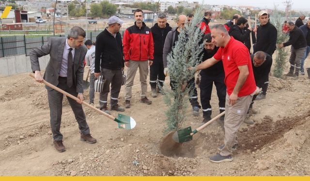 TPAO Batman'dan 'Yeşil Vatan'a 500 Fidanlık Destek
