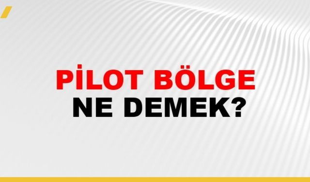 Pilot Bölge Ne Demek?