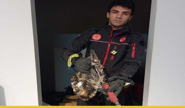 İtfaiyeden Çok Yönlü Kurtarma: Batman’da Yangın Değil, Canlılar Gündemde