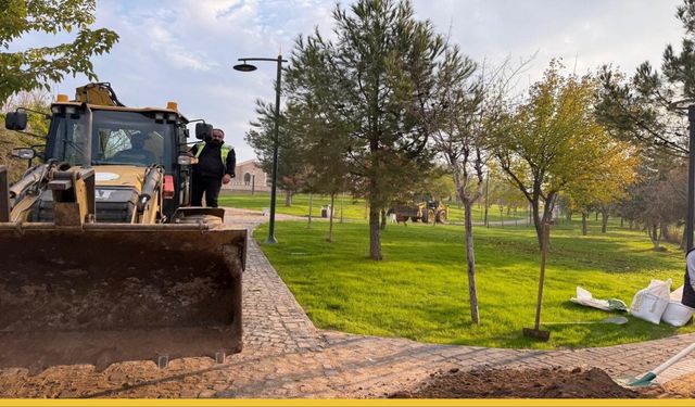 Yaşar Kemal Parkı Göz Açıp Kapayıncaya Kadar Yeşil Oldu: Çimler Bitti Sayılır!