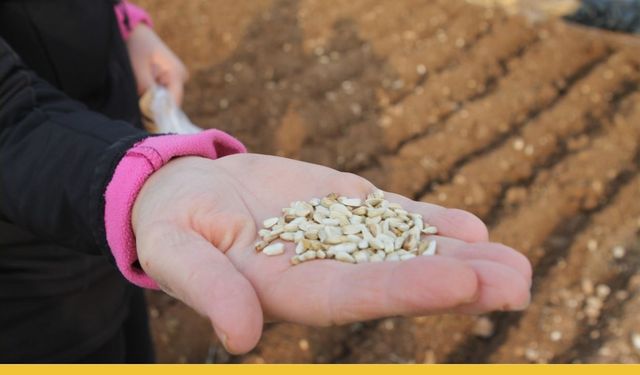 Batman Üniversitesi Kuraklığa Meydan Okuyor