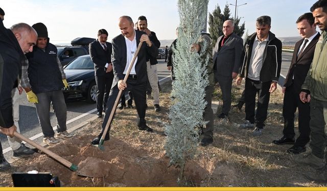 Vizyoner Proje Hayata Geçiyor: Batman'ın Girişleri 15 Bin Fidanla "Yeşil Kuşak" Oluyor