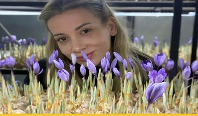Kapalı Ortam Devrimi: Gercüşlü Safran Çiftçileri İçin Yeni Yol Haritası Mı? Gramı 700 TL Olan Üründe Yüksek Kâr Sırrı