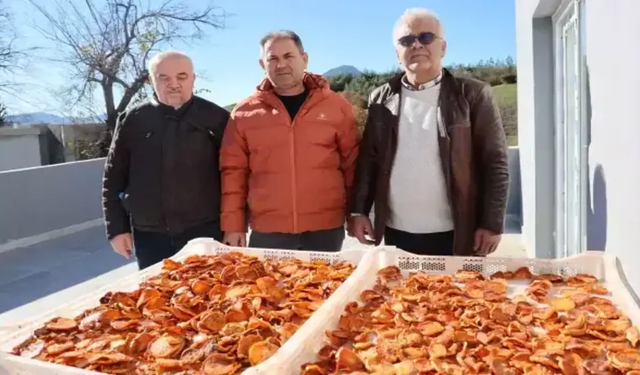 Kozan’ın "Cennet" Meyvesi Almanya Yolcusu: Köyde Kuruldu, Dünyaya Açıldı