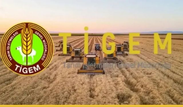 Tarımda Dev İstihdam Hamlesi: TİGEM 254 İşçi Alımı İçin Düğmeye Bastı!