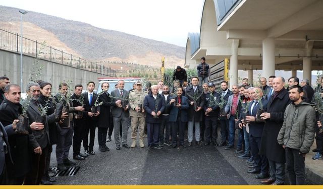 Hasankeyf’te Zeytinciliğe Büyük Destek: 40 Üreticiye 5 Bin Fidan Dağıtıldı