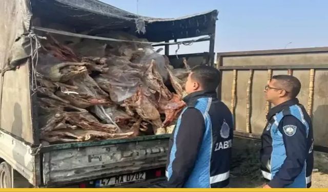 Gaziantep'te Skandal Et Baskını: Zehir Dolu Kamyonet Nizip'te Durduruldu