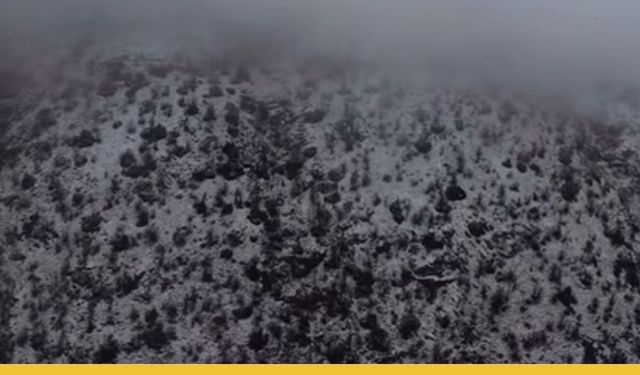 Sason Beyaz Gelinliğini Giydi...