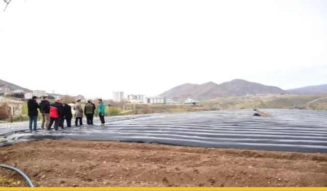 Tarlada Hasat Mesaisi: Sason Çileği 2026’da Kendi Rekorunu Kırmaya Hazırlanıyor