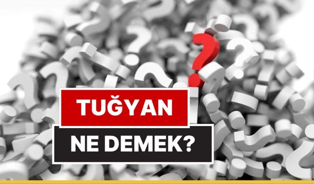 Tuğyan Ne Demek? Tuğyan İsminin Anlamı Nedir?