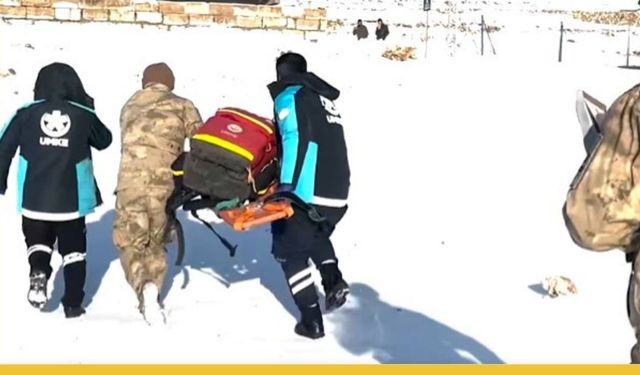 Gercüş'te Kar Yolları Kapadı, Mehmetçik Gökyüzünden Şifa Taşıdı