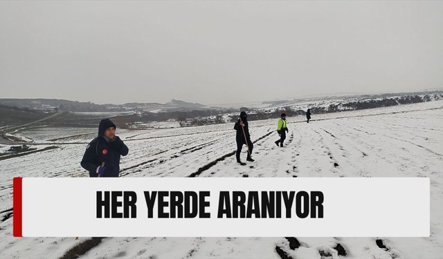 Sis ve Kar Engel Olamadı: 385 Personel Diyarbakır'da O Kadını Arıyor