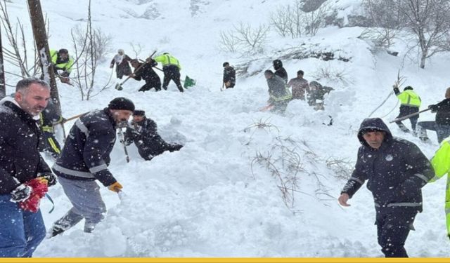 Van Çatak'ta Beyaz Dehşet: Çığ Mahalleleri Yuttu, Bir Kişi Karlar Altında Kayboldu!