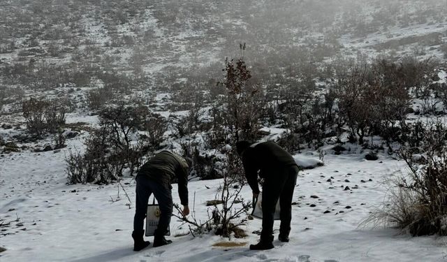 Hasankeyf’te Yaban Hayvanlarına "Can Suyu" Oldu
