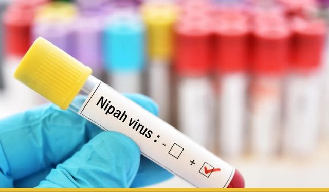 Dünyayı Tedirgin Eden Nipah Virüsü Alarmı: Yarasadan İnsana Ölümcül Köprü