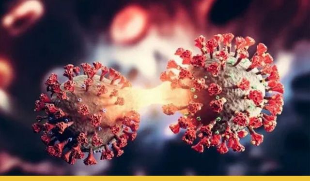 Uzmanlar Tarih Verdi: "Karma Virüs" Dalgası Ocak Ayında Zirve Yapacak!