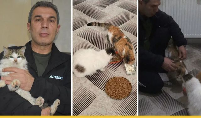 Sason’da Sıcak Bir Dayanışma: Belediye Başkanı Apartman Dairesini Patili Dostlarına Açtı