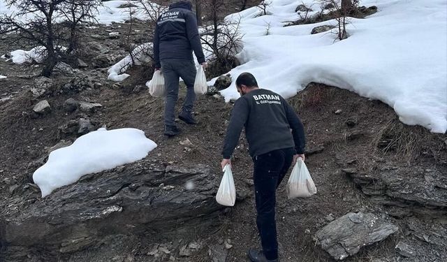 Kozluk'ta Yaban Hayvanları İçin Doğaya Yem Bırakıldı
