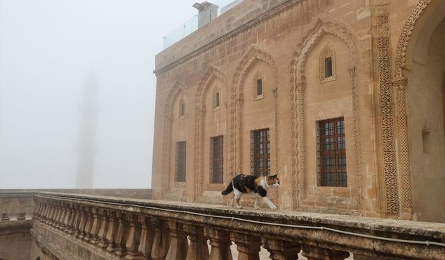 Mardin’de Görüş Mesafesi 30 Metreye Düştü: Tarihi Kent Sis Altında Kaldı