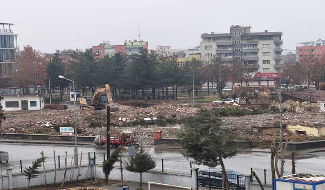 Hasan Argunağa'dan Milli Eğitim'e 'Ağaç' Çıkışı: Doğayı Yok Ederek Gelecek Kurulamaz