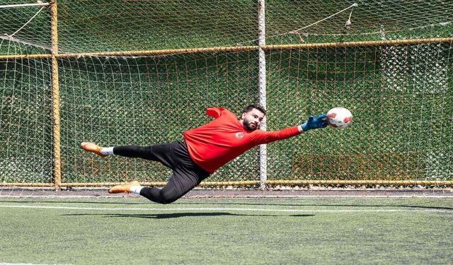 Spor