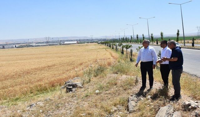 Eğitim