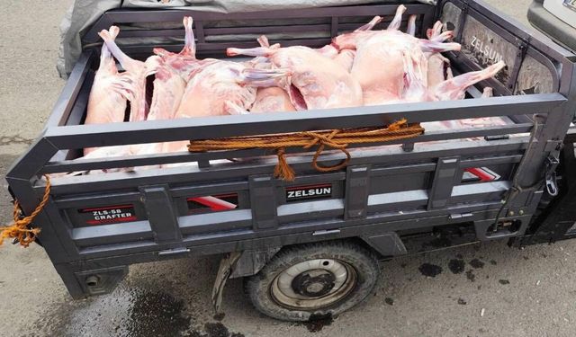 Batman’da Kaçak Kesime Baskın: 14 Hayvanın Eti İmha Edildi