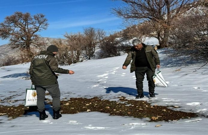 Gercüş'te Kuşlar İçin Doğaya Yem Bırakıldı