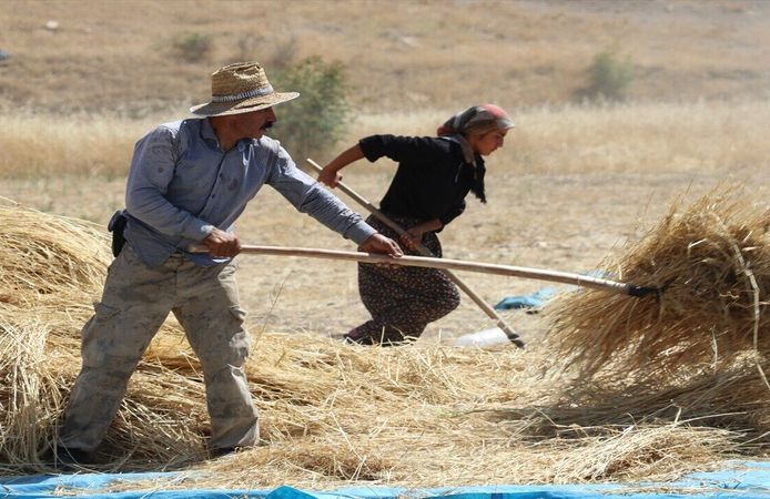 Hasankeyf'te 42 Derece Sıcakta Zorlu Patoz Mesaisi