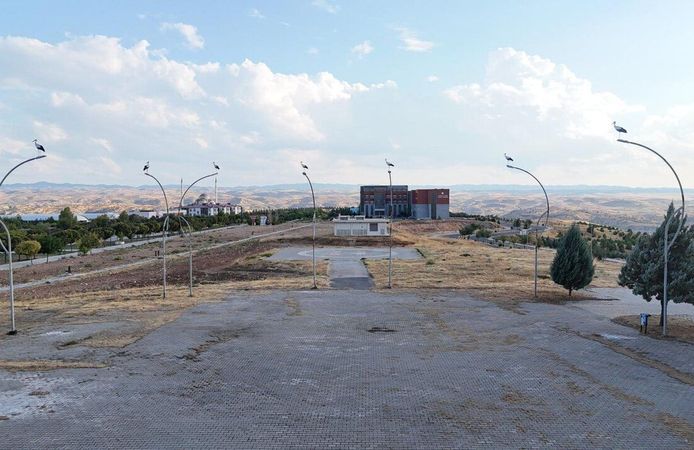 Leylekler Batı Raman Kampüsü’nde Mola Verdi