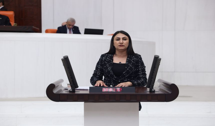 Milletvekili Oduncu'dan Bakan Uraloğlu'na Soru Önergesi