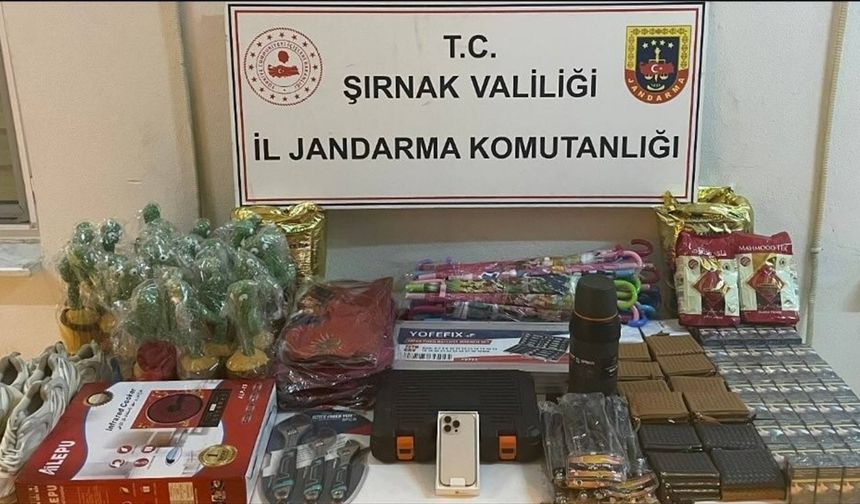 Şırnak'ta kaçakçılık operasyonlarında yakalanan 22 şüpheliden 1'i tutuklandı