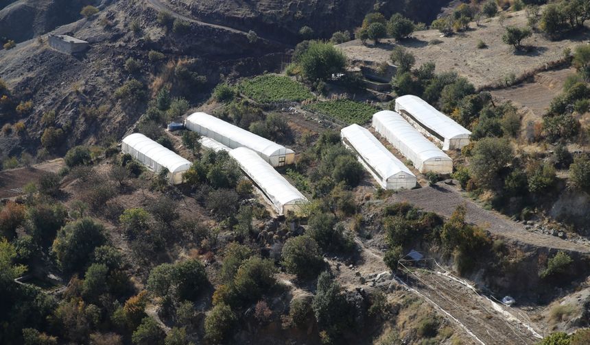 Siirt'in "sera köyü"nde muhtarından imamına herkes toprağın bereketinden yararlanıyor