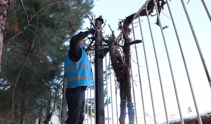 Midyat'ta hükümlüler okulların bakım işlerini yapıyor