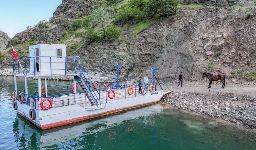 Rahvan atı "Boyka" kaslarını Fırat Nehri'nin serin sularında geliştiriyor