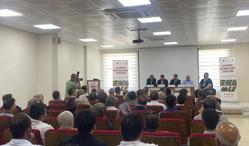 Şırnak'ta "Uluslararası Güçlükonak Sempozyumu" sona erdi