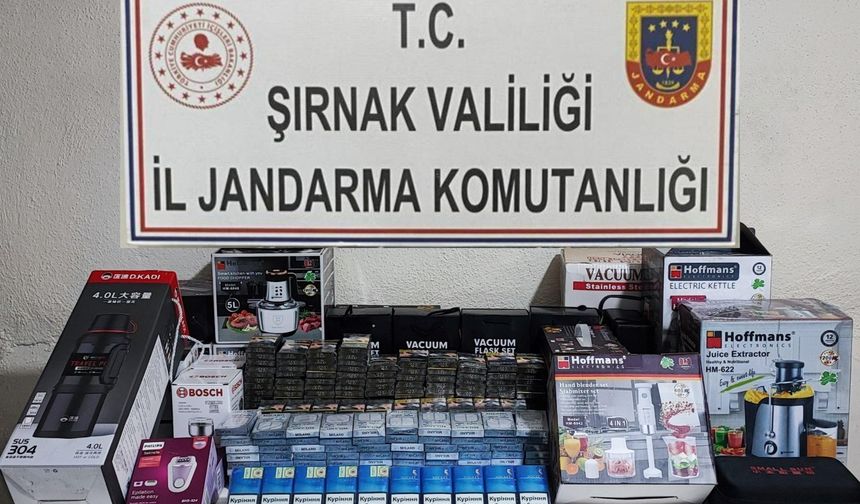 Şırnak'ta uyuşturucu, kaçakçılık ve asayiş operasyonlarında 22 kişi hakkında işlem yapıldı