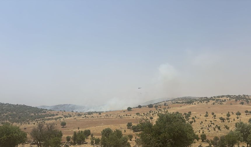 Mardin'de ormanlık alanda çıkan yangına müdahale ediliyor