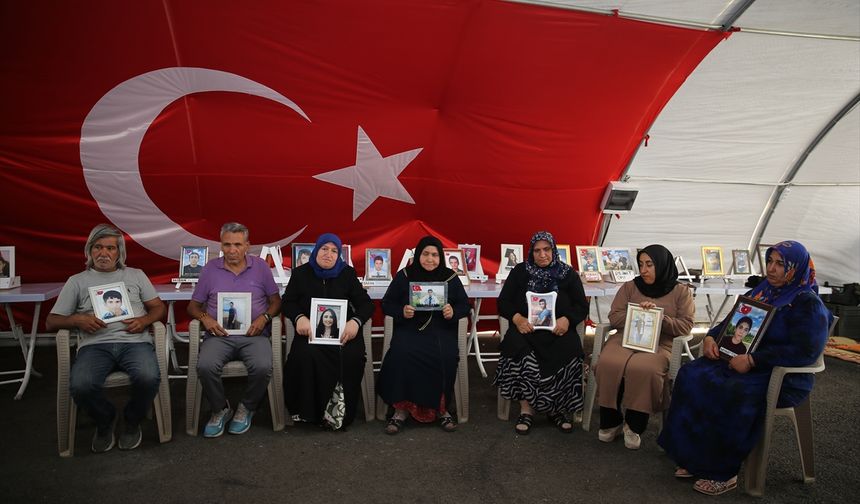 Diyarbakır anneleri, terör örgütü PKK'dan bir grubun silahlarını imha etmesinden memnun