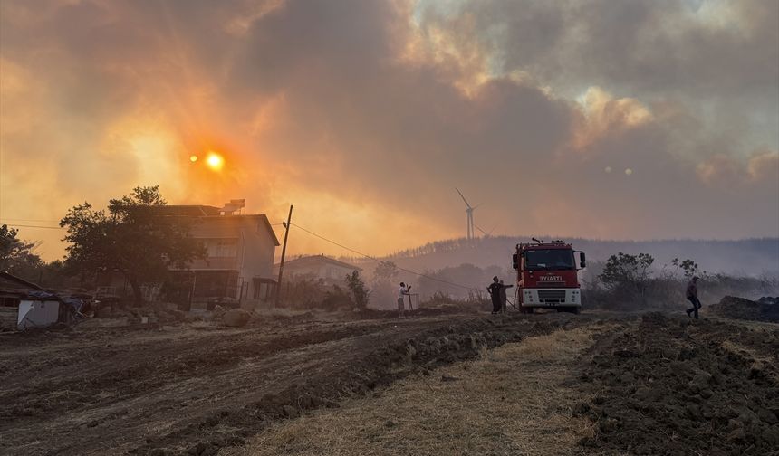 GÜNCELLEME 4 - Tekirdağ'da anız yangını ormana sıçradı