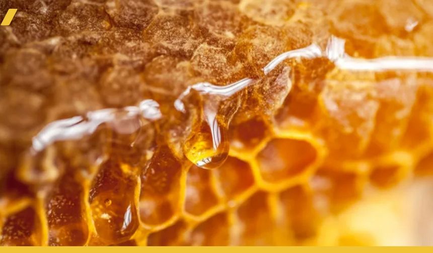 Pervari Balı İyi Midir?