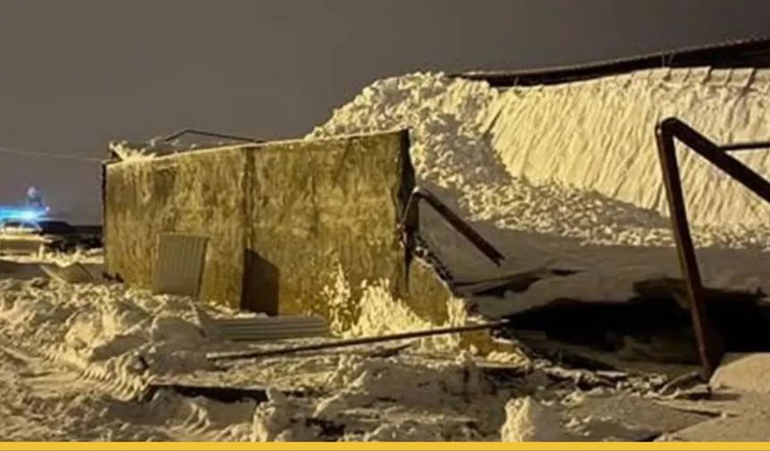 Beyaz Örtü Felakete Dönüştü: Siirt’te Kar Yüküne Dayanamayan Ahırlar 600 Hayvana Mezar Oldu!