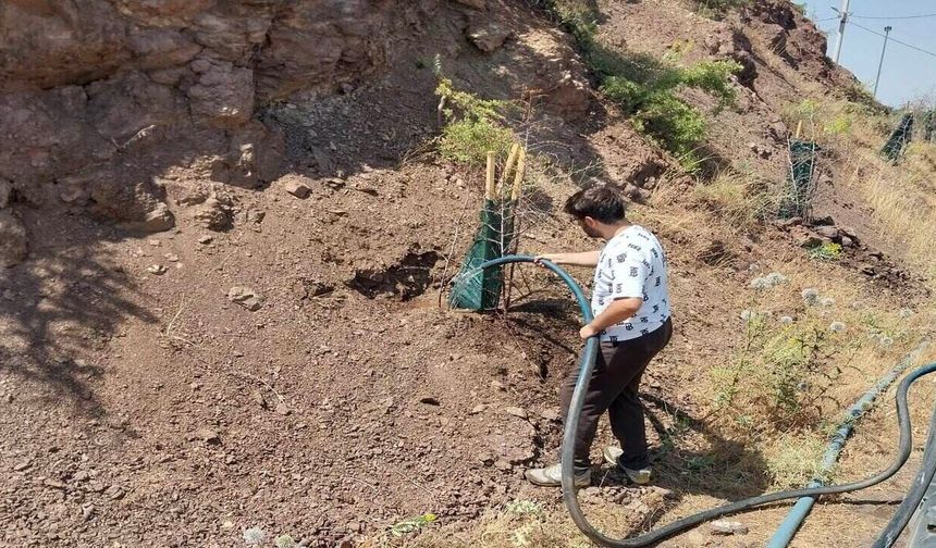 Sason’da Meyve Veren Ağaç Projesi Kapsamında Sulama Çalışmaları Sürüyor