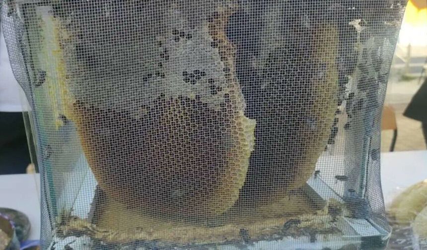 Sason’da 1 Kilo Bal 400 Bin Liraya Satıldı
