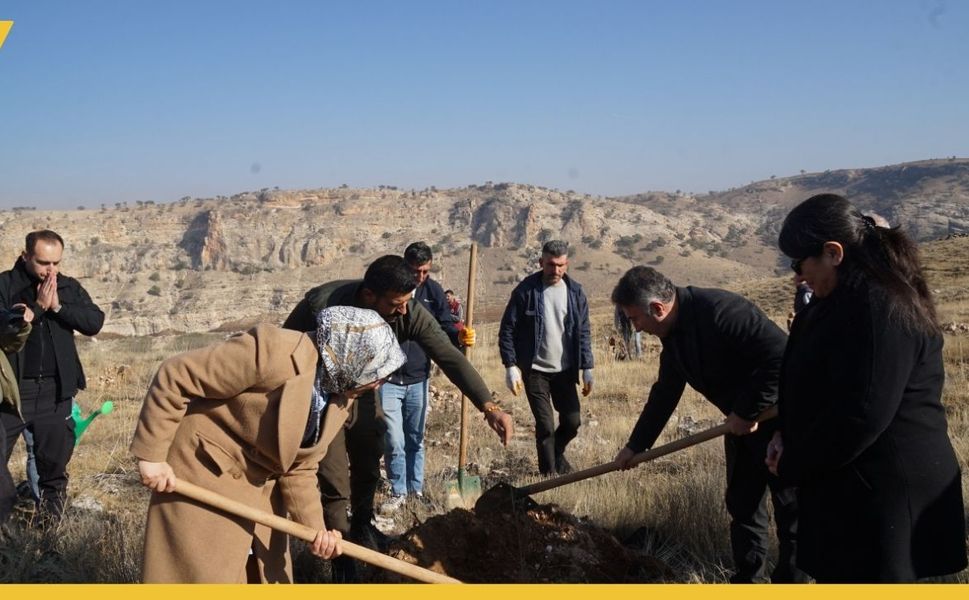 Batman Üniversitesi'nde Badem ve Zeytin Dikimi Yapıldı
