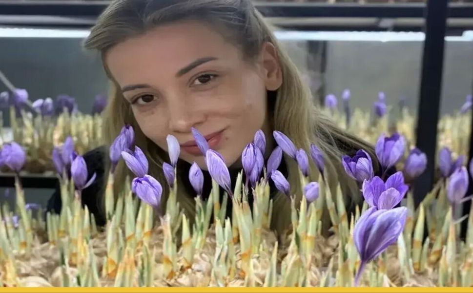Kapalı Ortam Devrimi: Gercüşlü Safran Çiftçileri İçin Yeni Yol Haritası Mı? Gramı 700 TL Olan Üründe Yüksek Kâr Sırrı